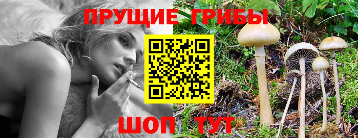 Галлюциногенные грибы GOLDEN TEACHER Владимир