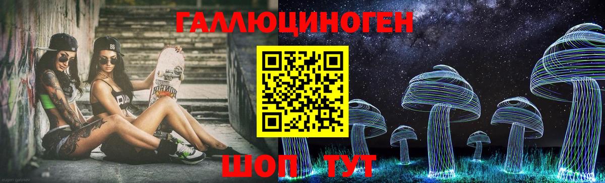 Псилоцибиновые грибы Cubensis  Вход с VPN  Владимир 
